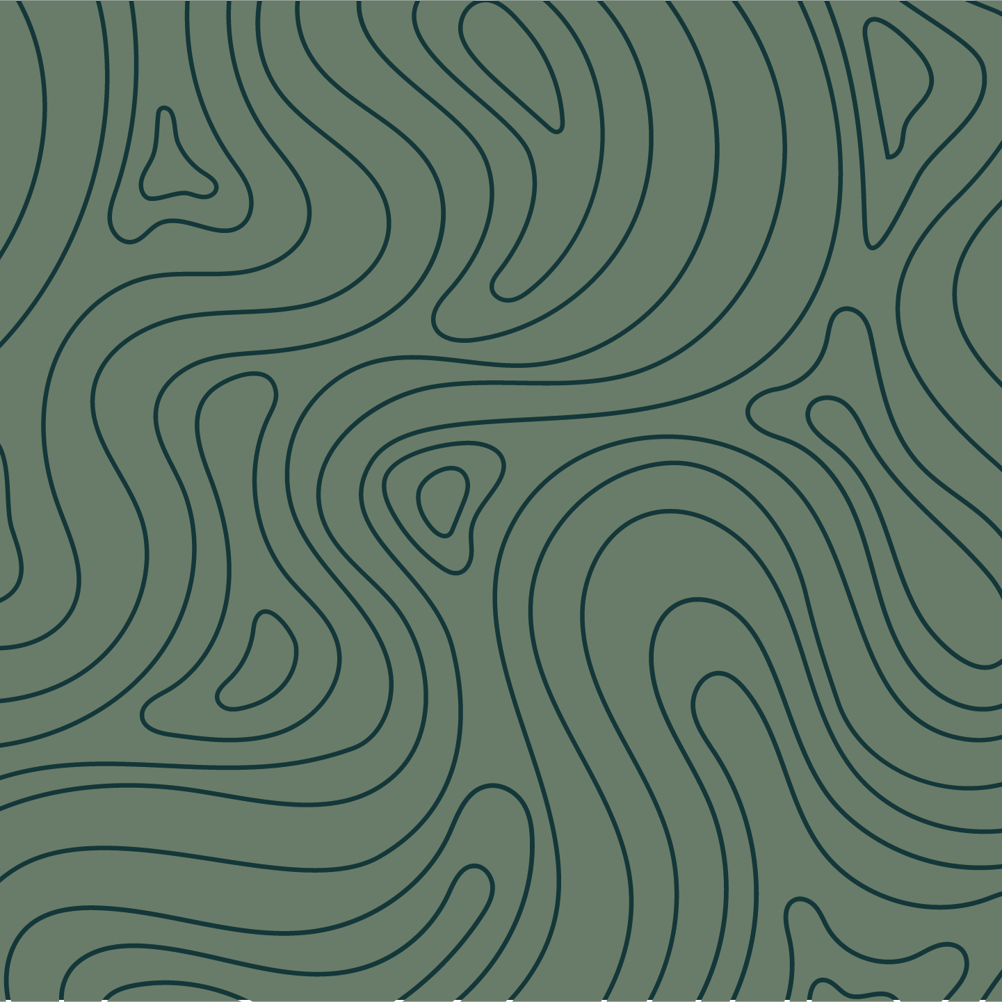 Skyline KPGC110 (KENMERI)